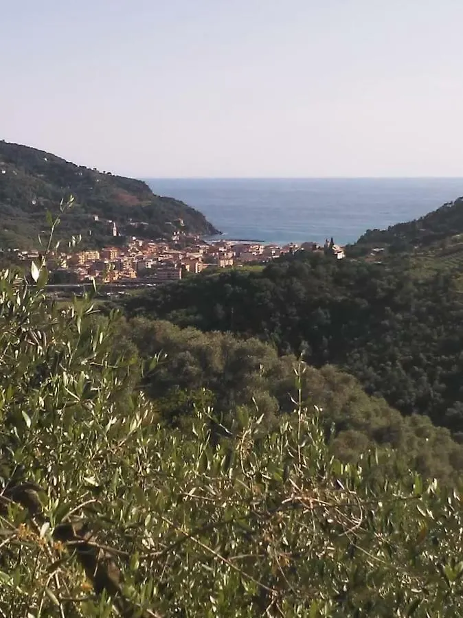 Appartamento in dimora tipica Montale  Italia